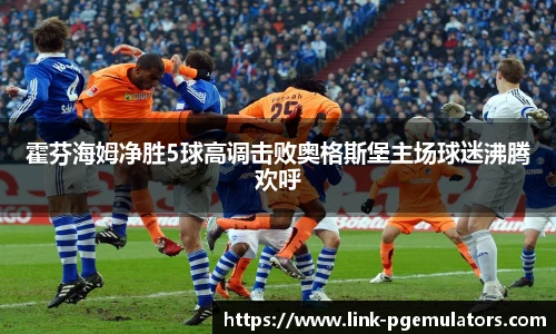 霍芬海姆净胜5球高调击败奥格斯堡主场球迷沸腾欢呼