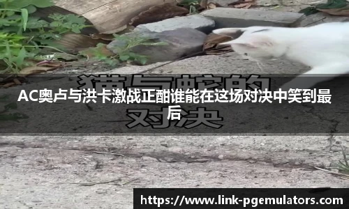 AC奥卢与洪卡激战正酣谁能在这场对决中笑到最后