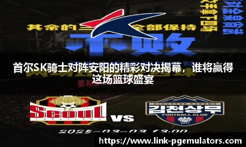 首尔SK骑士对阵安阳的精彩对决揭幕，谁将赢得这场篮球盛宴