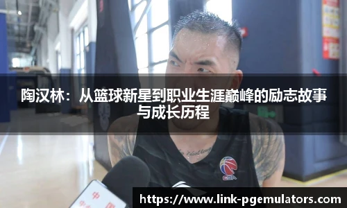 陶汉林：从篮球新星到职业生涯巅峰的励志故事与成长历程